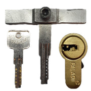 Self-impression Paladii 6 pin